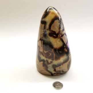 septarian polie