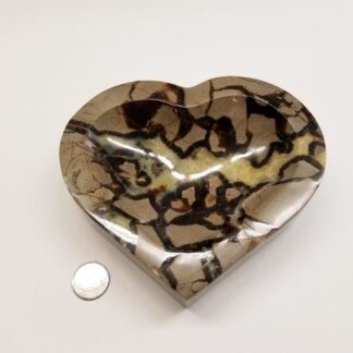 septarian-septaria