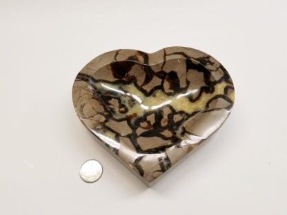 septarian-septaria