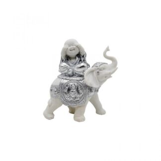 Moine sur éléphant