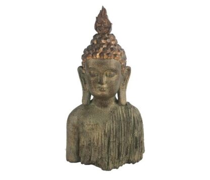 bouddha - buste