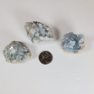 celestite brute