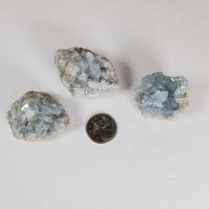 celestite brute