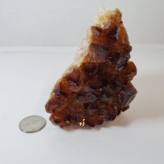 citrine brute