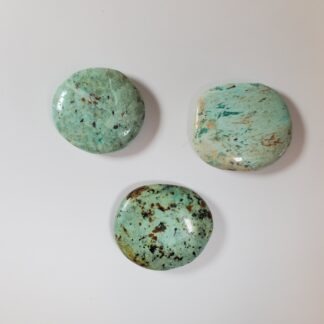 chrysocolle