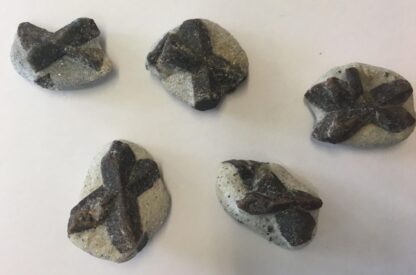SStaurolite (Croix des fées)