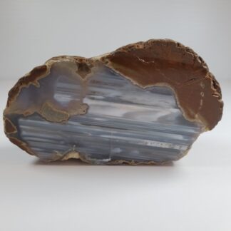 thunderegg