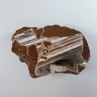 thunderegg