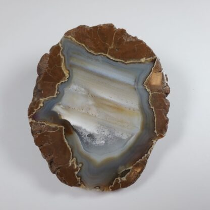 thunderegg