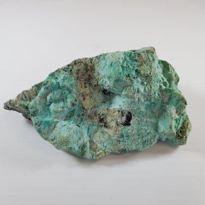 Chrysocolle brute