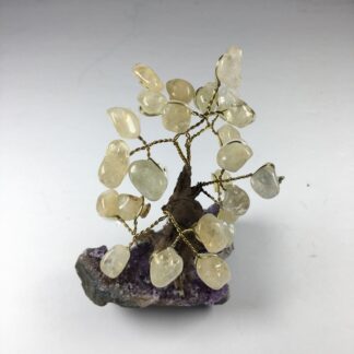 Arbre de Vie