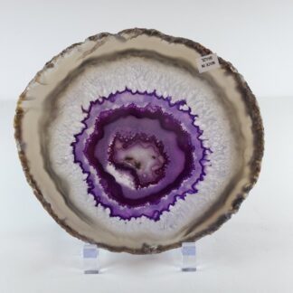 Tranche d'agate teinte #5