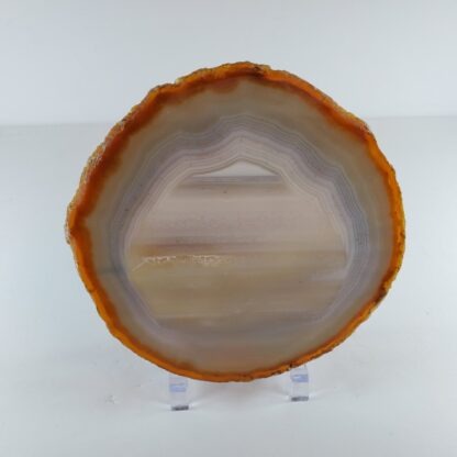 Tranche d'agate naturelle #5