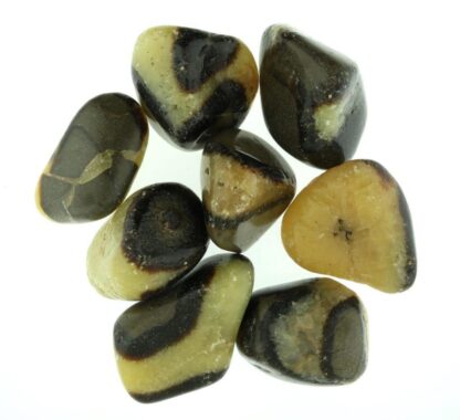 Septarian polie - xxl