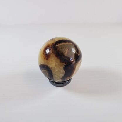 Septarian - sphère