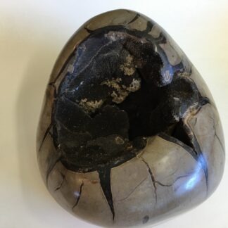 Septarian sauvage