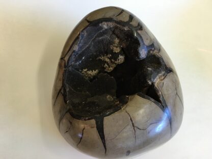 Septarian sauvage