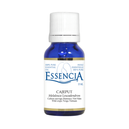 huile essentielle cajeput