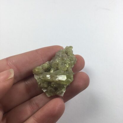 Idocrase ou vésuvianite - cristal