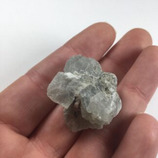 Tunellite