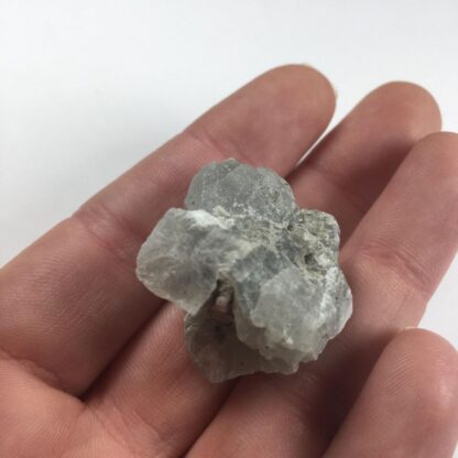 Tunellite