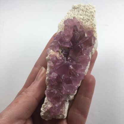 Fluorite rose sur matrice