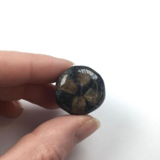Chiastolite