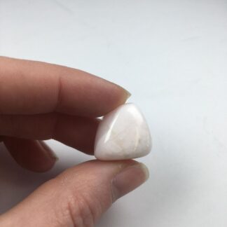 Calcite rose (mangano)