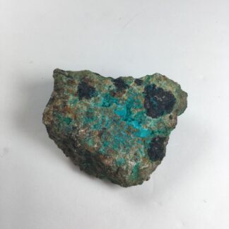 Chrysocolle brute