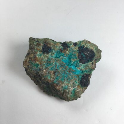 Chrysocolle brute