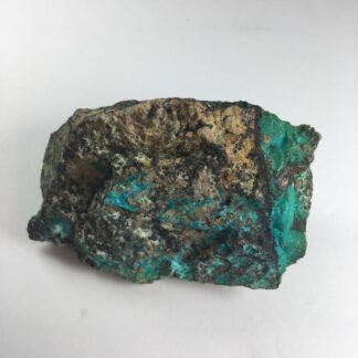 Chrysocolle brute