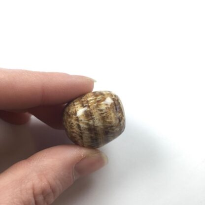 Aragonite