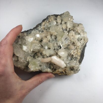 Apophillite et stilbite sur basalte (zéolite)