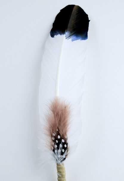 Plume de fumigation - Ascendance