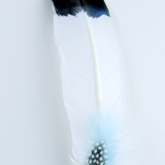Plume de fumigation - Confort