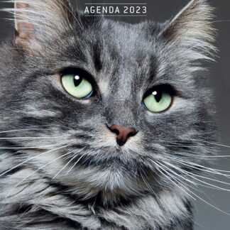Agenda Chats 2023