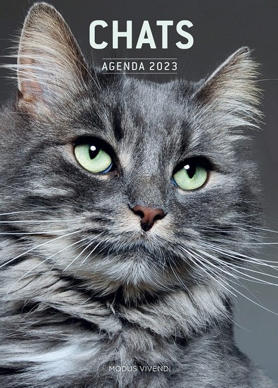Agenda Chats 2023