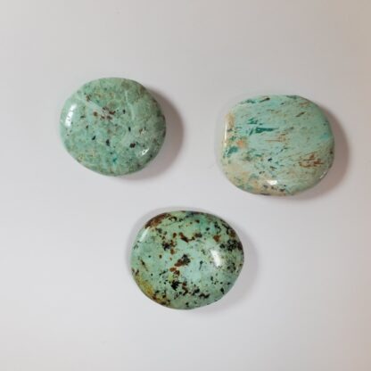 chrysocolle