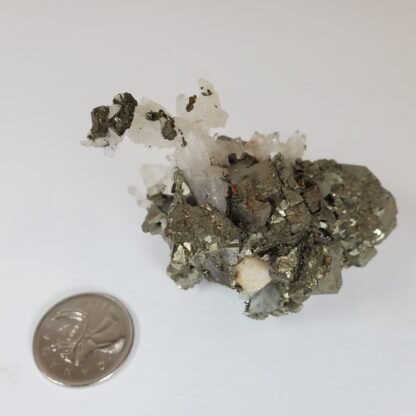 quartz sur pyrite - specimen